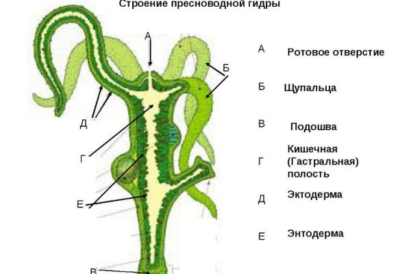 Kra32.cc